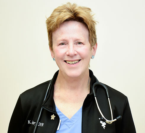 Dr. Kathy Taylor DVM