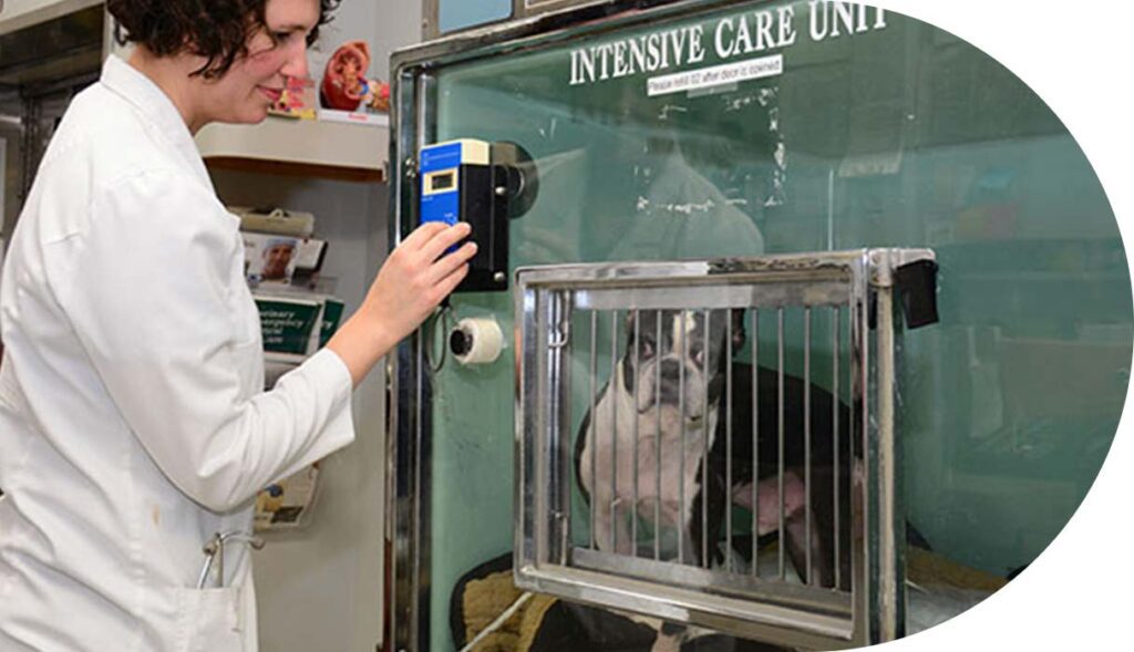 pet-critical-care-louisville-ky