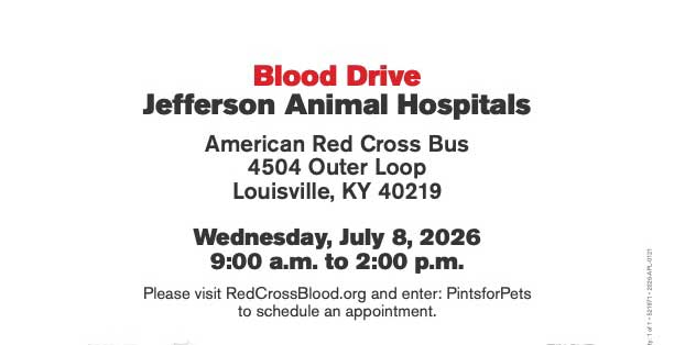 Jeff-Animal-Hospital-blood-drive